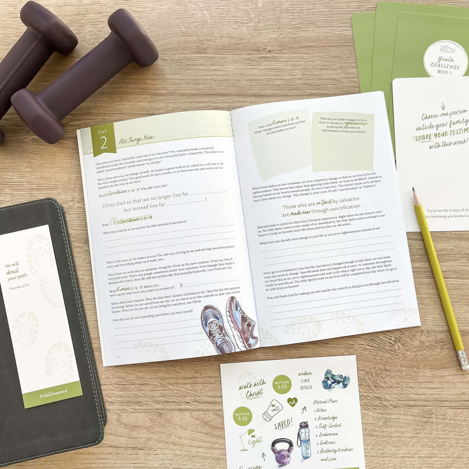 Decided Bible Study for teens- inside