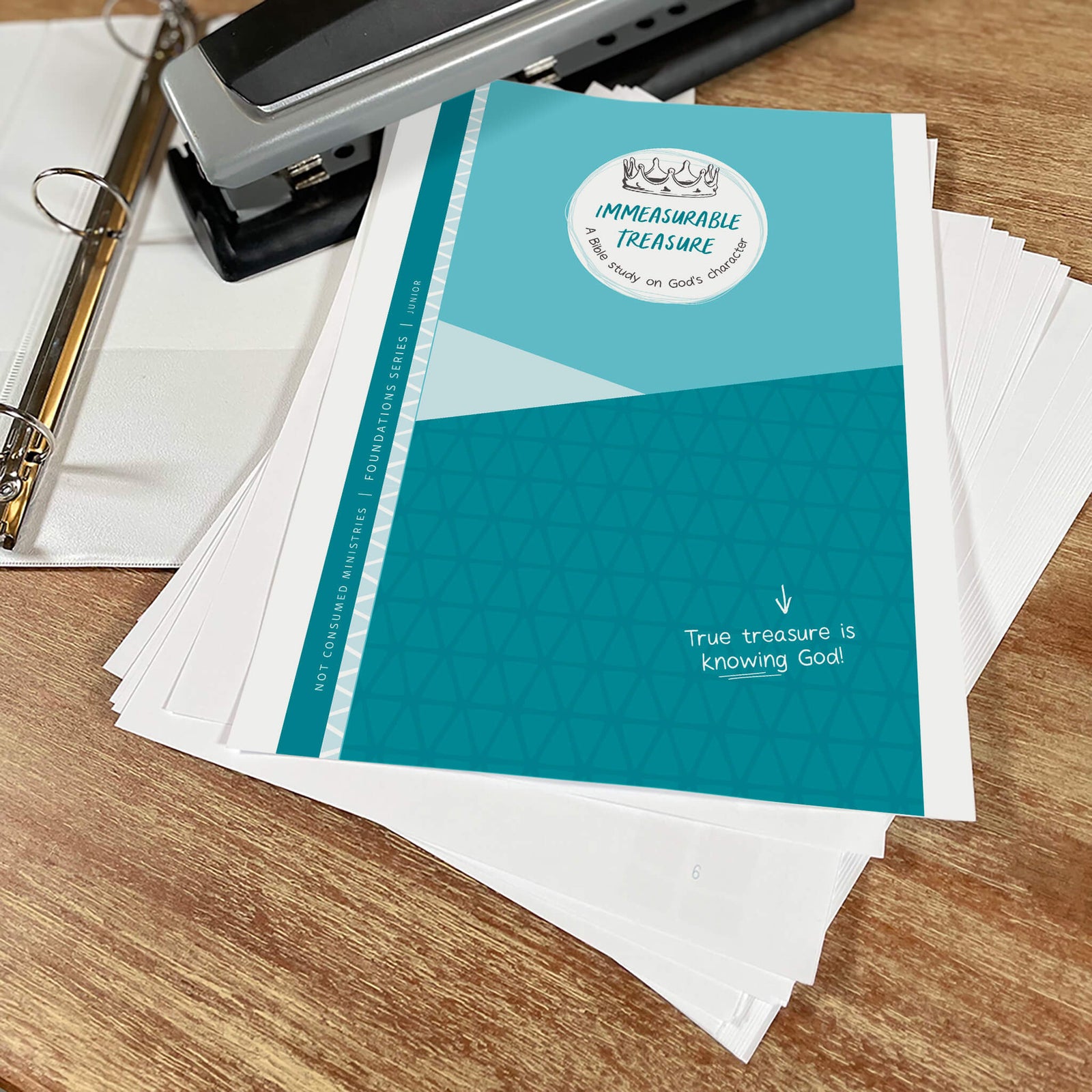 Immeasurable Treasure Bible Study Printable