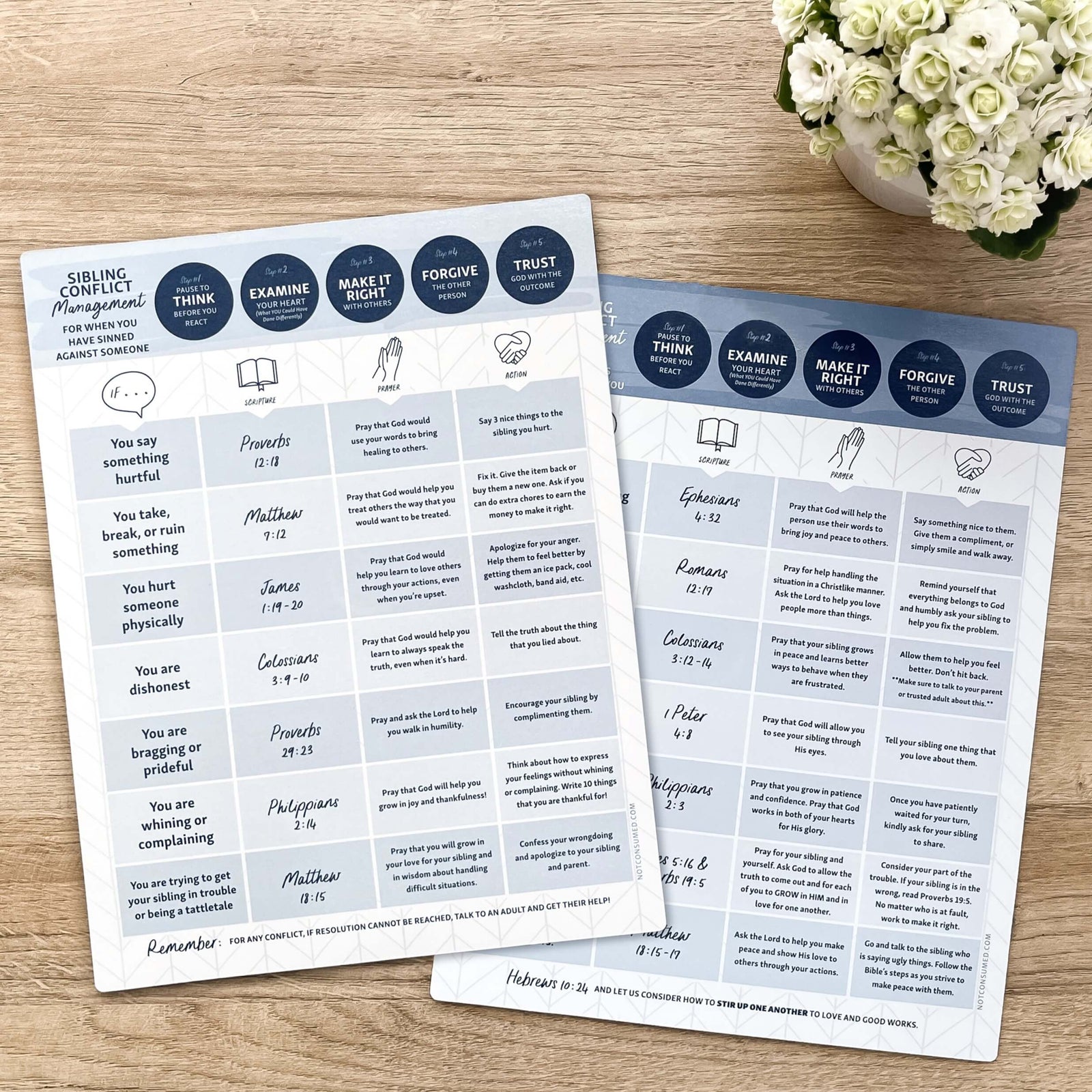 Sibling Conflict Chart Magnet