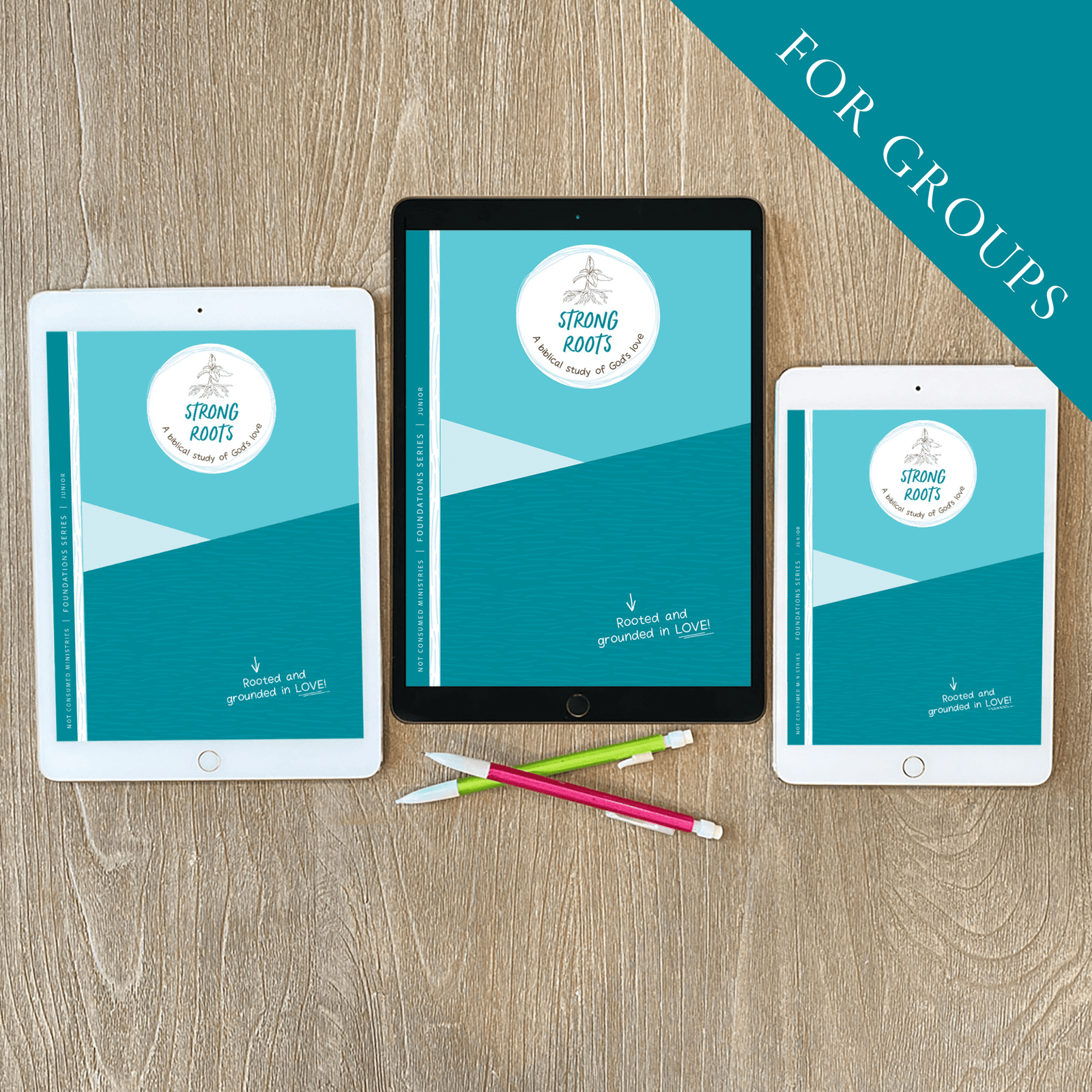 Strong Roots Bible Study digital for groups
