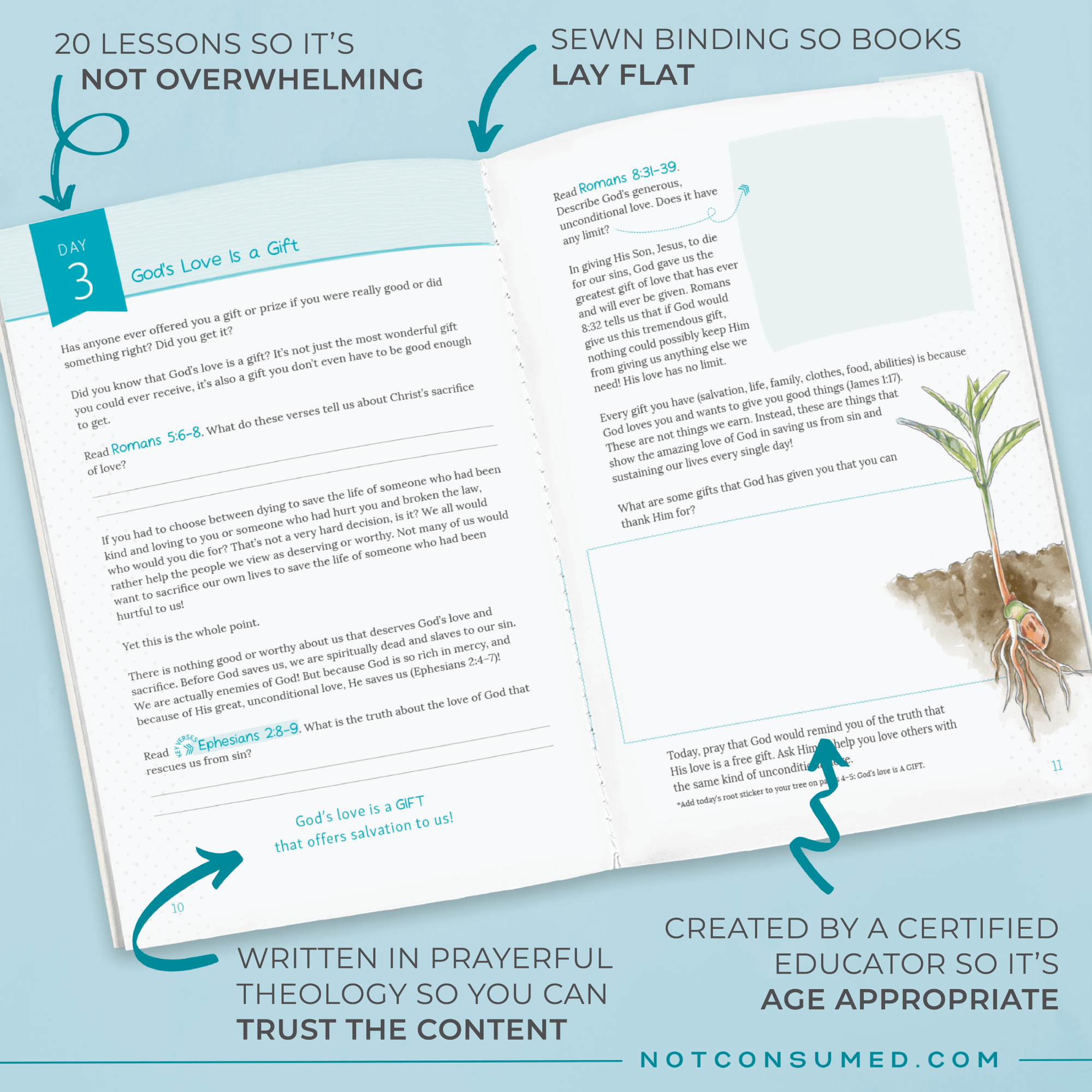 Strong Roots Report Strong Roots: A Bible Study on God's Love